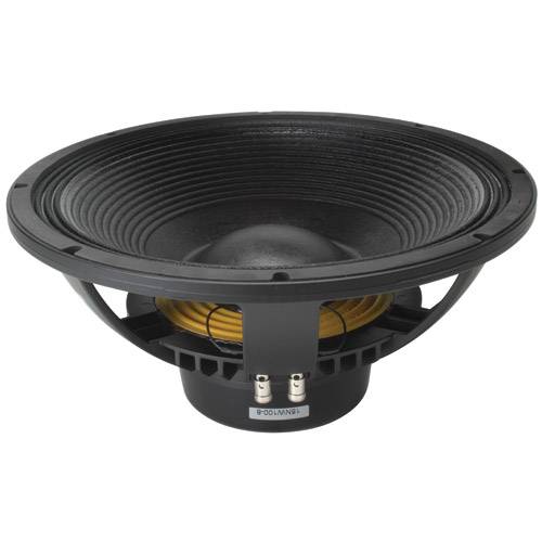 B&C 15NW100 15" Neodymium Subwoofer