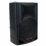 Selenium SPM1202 Passive Speaker System Black