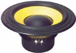 HiVi F10 10" Woofer